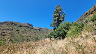 2023-04-GranCan-Guayadeque-080.jpg